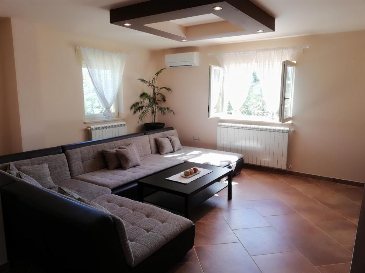 Apartman Nikola Ladrovici Exterior photo
